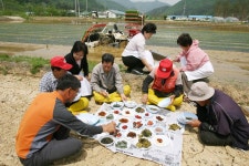 사진 - 강릉시청