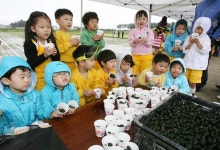 사진 - 강릉시청