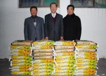 시정스케치 - 강릉시청