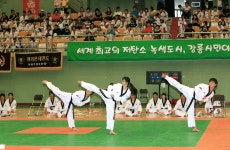 시정스케치 - 강릉시청