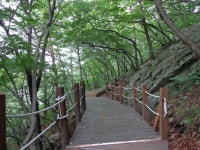 수목원은 지금 - 강릉솔향수목원