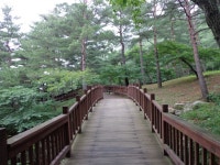 수목원은 지금 - 강릉솔향수목원