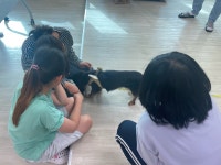 경상남도교육청 > 경남교육홍보관 > 교육현장소식 > 전체 > 게시물 내용보기 경상남도교육청-아이들의 미래를 책임지는 경남교육