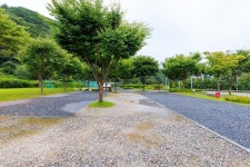 박달재초록꿈캠핑체험장 고캠핑