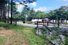 수원 솔내음 캠핑장 고캠핑