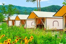 (주)더그린포천 농업회사법인(민트글램핑)