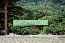 오색 산새소리캠핑장 고캠핑