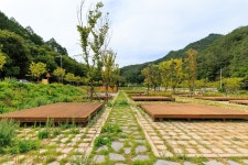 속리산 시어동 캠핑장 고캠핑