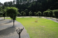 캠프 올모 고캠핑