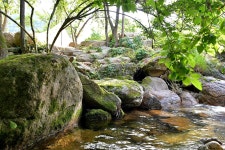 NAVER検索結果の写真 5