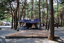 양양 솔바다 캠핑장