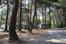 양양 솔바다 캠핑장 고캠핑