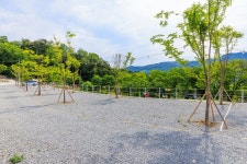 산앤호반 캠핑장