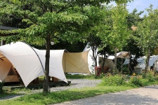 양양 고인돌 캠핑장 고캠핑