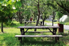 양양 고인돌 캠핑장