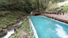 정선 도원펜션&캠핑장 고캠핑