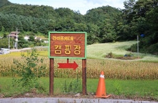 라이프위드도그