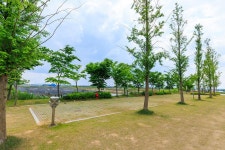 선장포협동조합