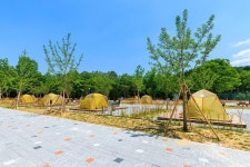 경상북도교육청김천오토캠핑장 고캠핑