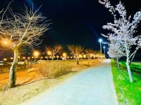김천실내테니스장 & 김천오토캠핑장 고캠핑