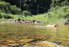 그자리 야영장 고캠핑