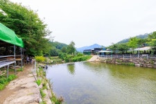 팔공 쉼터 야영장 고캠핑