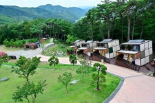 이숲e랜드 야영장 고캠핑