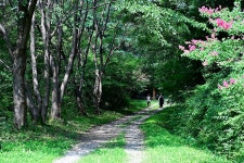 이숲e랜드 야영장 고캠핑