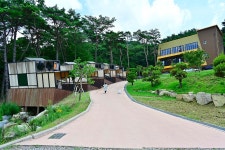 이숲e랜드 야영장 고캠핑