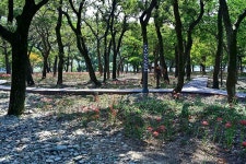 남해 힐링국민여가캠핑장