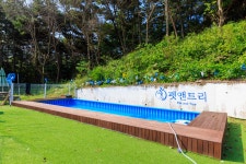 서산 애견글램핑펜션 펫앤트리