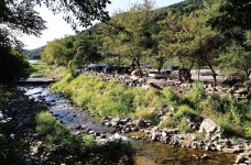 남한산성 캠핑장 고캠핑