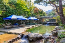 심천치유자연휴양림야영장 고캠핑