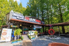 심천치유자연휴양림야영장 고캠핑