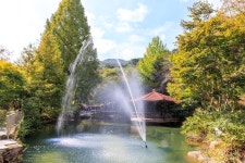 심천치유자연휴양림야영장 고캠핑