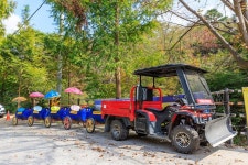 심천치유자연휴양림야영장 고캠핑