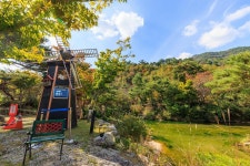 심천치유자연휴양림야영장 고캠핑