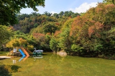 심천치유자연휴양림야영장 고캠핑