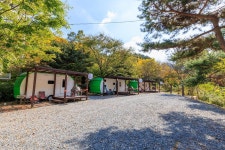 심천치유자연휴양림야영장 고캠핑