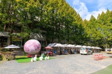 심천치유자연휴양림야영장 고캠핑