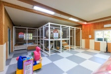 심천치유자연휴양림야영장 고캠핑