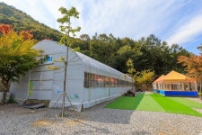진천포레스트캠핑장