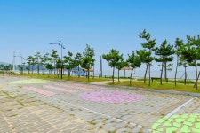 나정고운모래해변 오토캠핑장