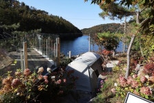 청계호수 자작나무숲 캠핑장 고캠핑