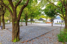 솔내음캠핑장 고캠핑