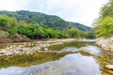 꽃댕이오토캠핑장