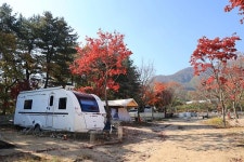 위드독스in포천 고캠핑