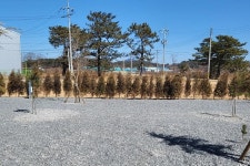해가빛 캠핑장