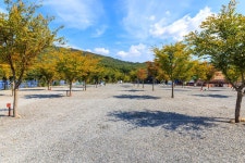 속리산365캠핑장 고캠핑