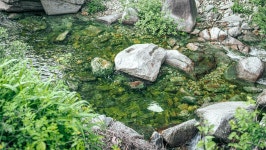 영월 엄둔밸리 계곡캠핑장 영월 엄둔밸리 계곡캠핑장 